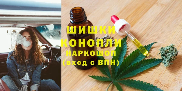 гидра Балахна