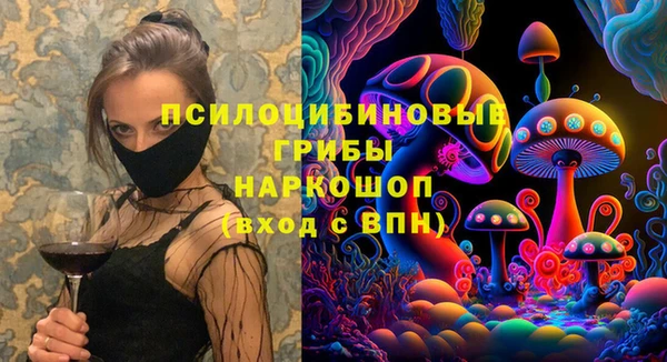 гидра Балахна