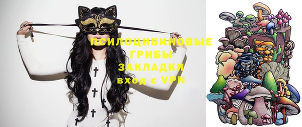 гидра Баксан